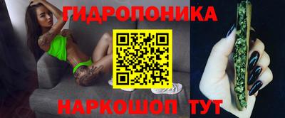 ГАЛЛЮЦИНОГЕННЫЕ ГРИБЫ Пугачёв