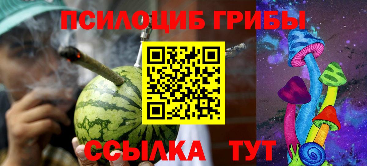 Галлюциногенные грибы Psilocybine cubensis Советск